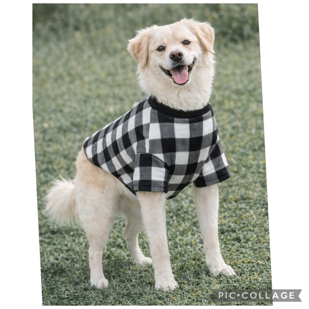 NEW Buffalo Plaid Dog Shirt Sweater Black White Pet Tee M FREE Dog Waste Bags